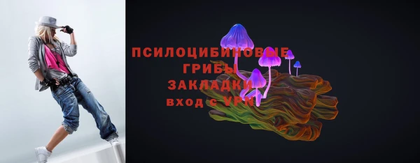 индика Пересвет