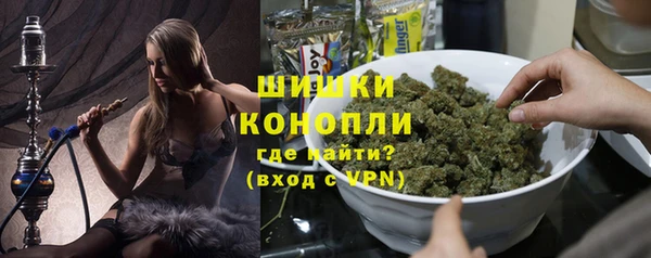 индика Пересвет