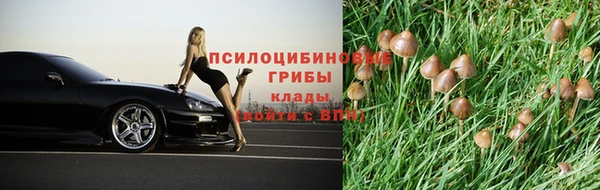 МДПВ Гатчина