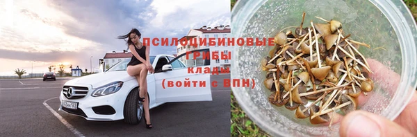 MESCALINE Галич