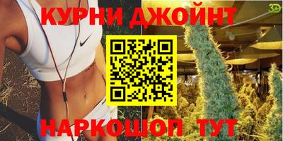 гидра Аргун