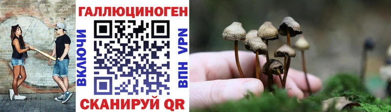 площадка какой сайт  Богданович  Галлюциногенные грибы GOLDEN TEACHER  МЕГА рабочий сайт 