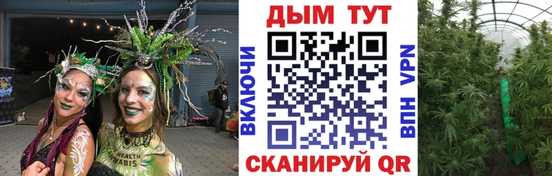Каннабис SATIVA & INDICA Богданович